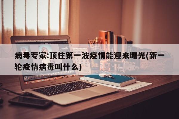 病毒专家:顶住第一波疫情能迎来曙光(新一轮疫情病毒叫什么)