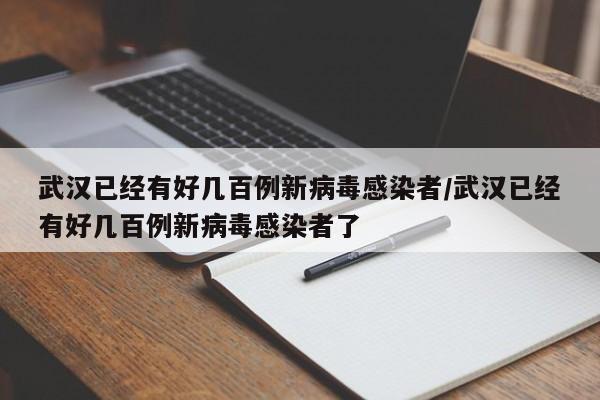 武汉已经有好几百例新病毒感染者/武汉已经有好几百例新病毒感染者了